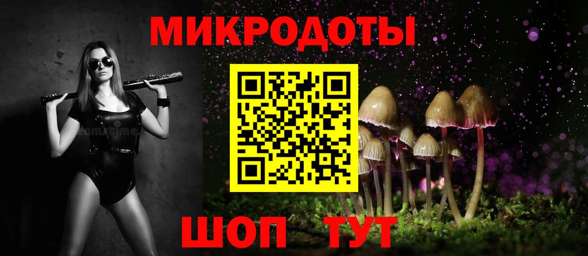 Галлюциногенные грибы Cubensis Ейск