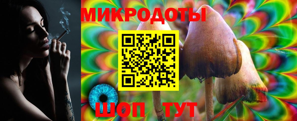 Галлюциногенные грибы ЛСД  Вход с VPN  Галлюциногенные грибы мухоморы  Ейск 